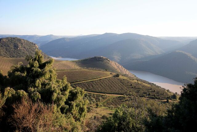 O produtor explica que na vila manuelina de Freixo de Espada à Cinta, "há um Douro ainda intacto, misterioso e com muito por descobrir".