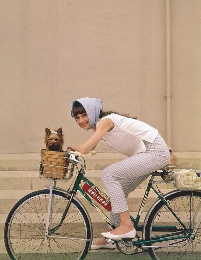 Audrey Hepburn a andar de bicicleta com um cãozinho no cesto