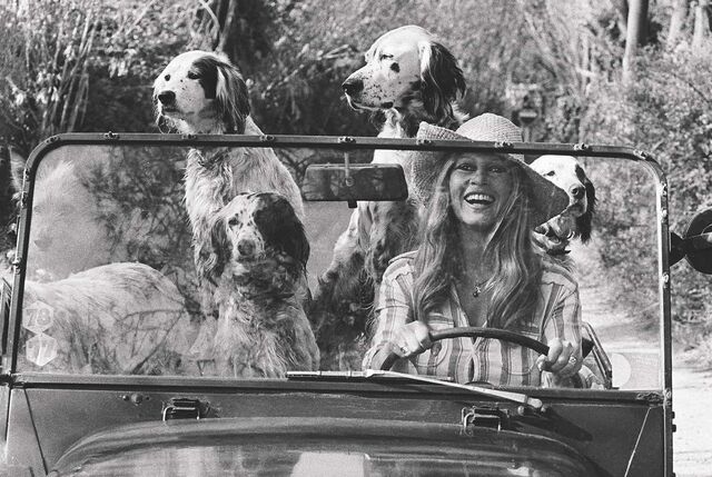 Brigitte Bardot e a sua matilha
