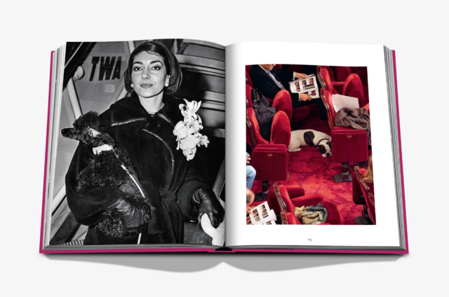 Maria Callas com o seu caniche e um outro bichinho a viajar em grande estilo