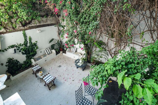 O jardim.