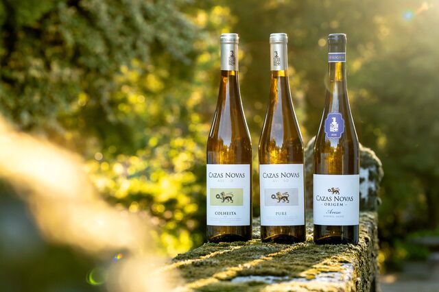 Os vinhos.