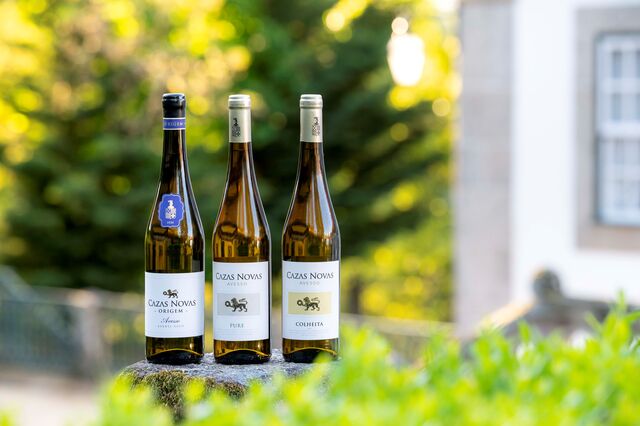 Os vinhos.