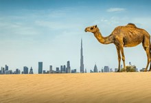 72h no Dubai: uma terra de contrastes. A primeira parte