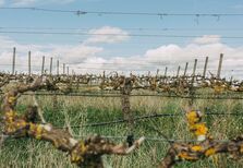 L’AND Vineyards recebe expedição eno-gastronómica da Quinta do Monte d’Oiro