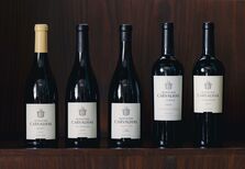A Real Companhia Velha e o vinho da Quinta das Carvalhas que nunca existiu