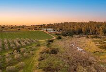 Food Love Fest. Sabores da terra e estrelas Michelin no coração do Alentejo