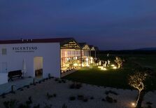 Vicentino, a herdade de vinhos do Alentejo suave, onde também podemos pernoitar