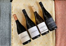 Pela primeira vez no Alentejo, os vinhos da casa Costa Boal vão conquistando terreno