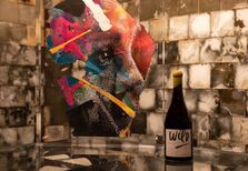 Arte e vinhos de mãos dadas na Quanta Terra