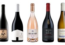 Em março, cinco vinhos à escolha que vale a pena ter em cima da mesa