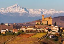 Barolo ganhou o campeonato mundial das vinhas de luxo: um hectare custa 1,9 milhões de euros