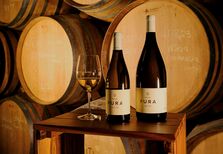 Textura Wines: o sonho comanda a vinha
