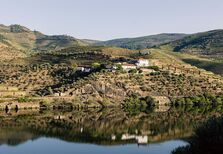 Quinta da Boavista: um vinho no Douro, com alma alentejana