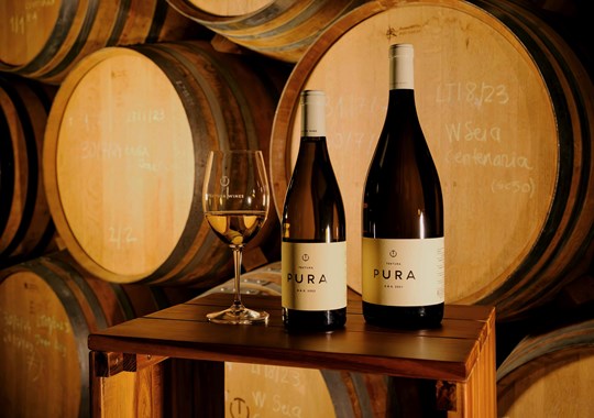 Textura Wines: o sonho comanda a vinha