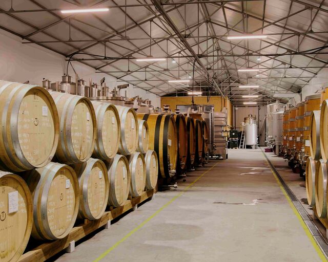Adega de Textura Wines