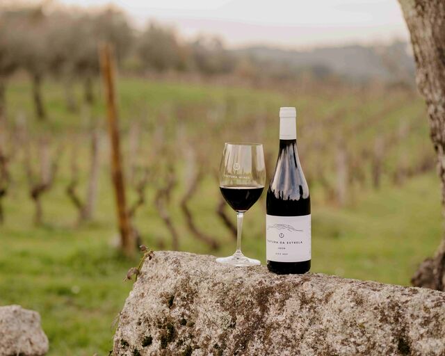 Vinhas - Textura Wines
