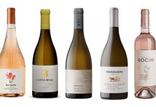 Em junho, 5 vinhos para descobrir, provar e saborear