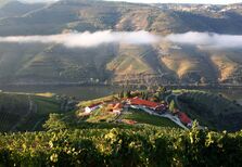 O vinho que Américo Amorim sonhou (e a filha criou)