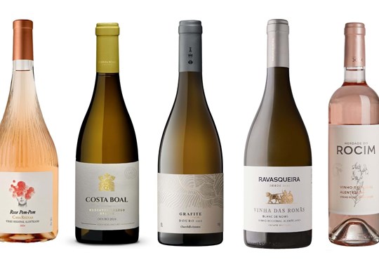 Em junho, 5 vinhos para descobrir, provar e saborear 