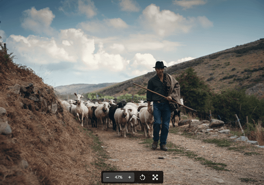 Burel Mountain Hotels convidam à transumância