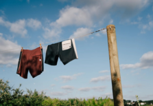 Diploria: calções de banho com consciência ecológica