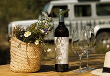Vinhos ao ritmo da natureza num Alentejo verdadeiro