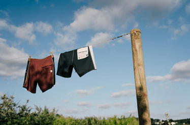 Diploria: calções de banho com consciência ecológica