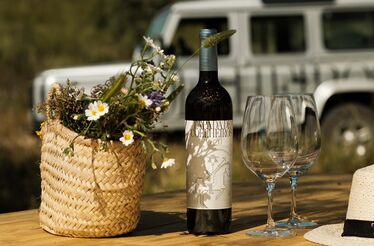 Vinhos ao ritmo da natureza num Alentejo verdadeiro