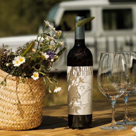 Vinhos ao ritmo da natureza num Alentejo verdadeiro