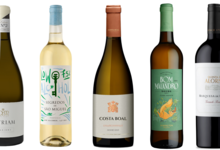 Em agosto, vinhos para todos os gostos… e tendências