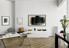 A galeria portuense em que há uma nova exposição a cada 45 dias