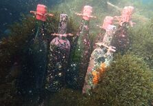 O tesouro submerso ao largo de Sines: 40 mil garrafas de vinho no fundo do mar