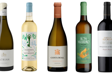 Em agosto, vinhos para todos os gostos… e tendências