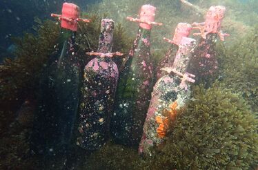 O tesouro submerso ao largo de Sines: 40 mil garrafas de vinho no fundo do mar