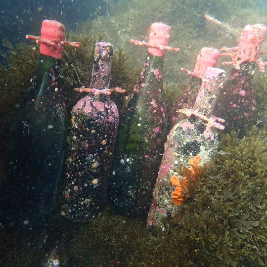 O tesouro submerso ao largo de Sines: 40 mil garrafas de vinho no fundo do mar