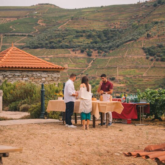 Harvest Party regressa à Quinta da Roêda para celebrar as vindimas do Douro