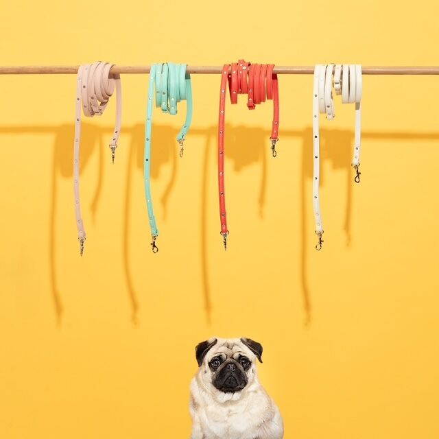 Os produtos estendem-se entre coleiras, peitorais, trelas, utilitários e outros complementos