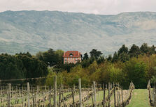 Casa da Passarella Vindima 2014: pelo amor ao vinho