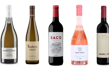 Setembro é mês de vindimas e de vinhos também 