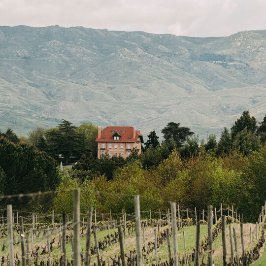 Casa da Passarella Vindima 2014: pelo amor ao vinho