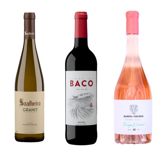 Setembro é mês de vindimas e de vinhos também 