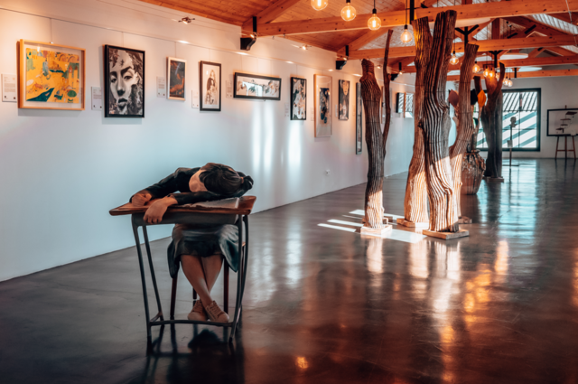 Galeria de arte Howard's Folly