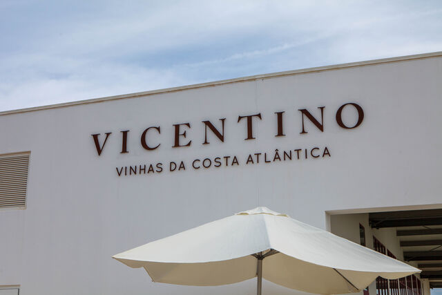 Vicentino, vinhas da Costa Atlântica