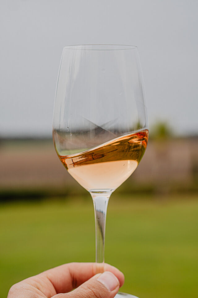 vinho Vicentino