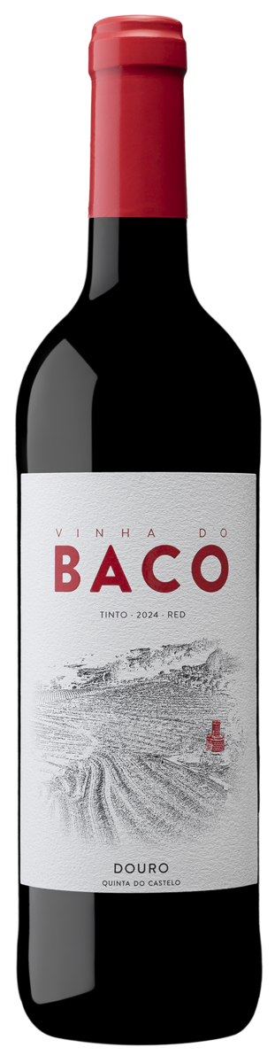 Vinha do Baco 2024