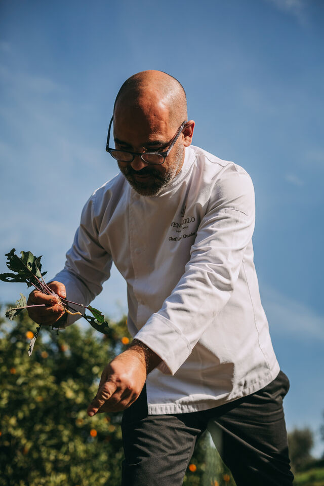 Chef José Guedes