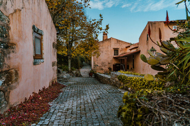 Villa Pedra, aldeia em Pombalinho, Sicó, convida ao descanso e à descoberta do património local