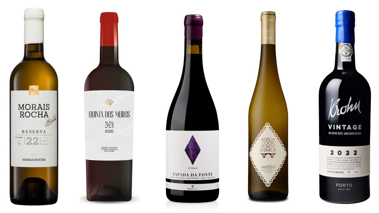 Sugestões de vinhos portugueses: Morais Rocha Branco, Quinta dos Muros Tinto, Tapada da Fonte Syrah, Adega Ponte da Barca Avesso e Krohn Vintage 2022