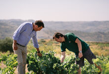 Costa Boal em homenagem ao tempo e à arte de fazer grandes vinhos 